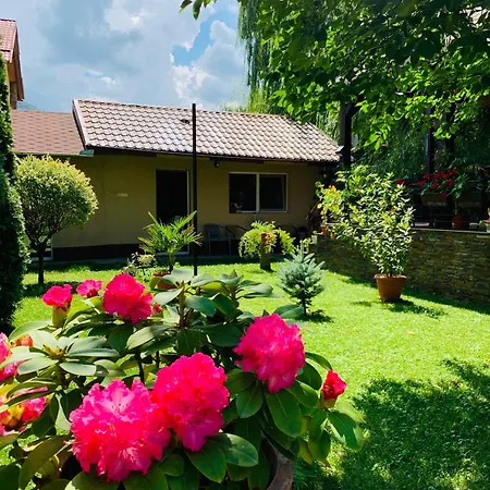 Casa Neamtu