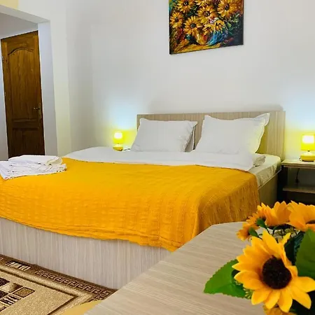 Casa Neamtu Băile Herculane
